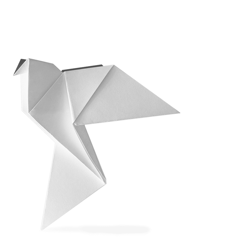 Botify_Overlay-Hero-image-1